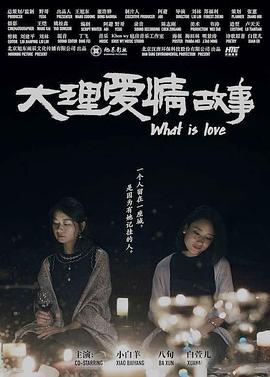 大理愛情故事(全集)