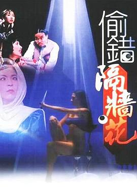 偷錯(cuò)隔墻花(全集)