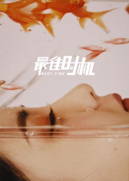 最佳時(shí)機(jī)(全集)