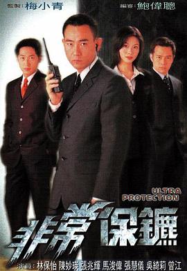 非常保鏢國語(全集)