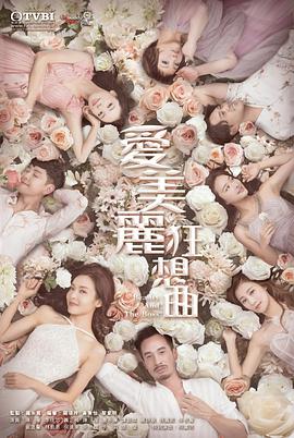 愛美麗狂想曲粵語(yǔ)(全集)