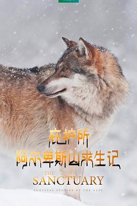庇護所：阿爾卑斯山求生記(全集)