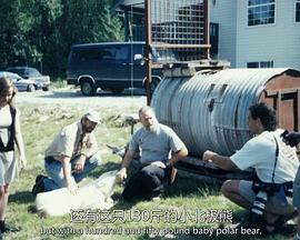 我家的野生動物第一季(全集)