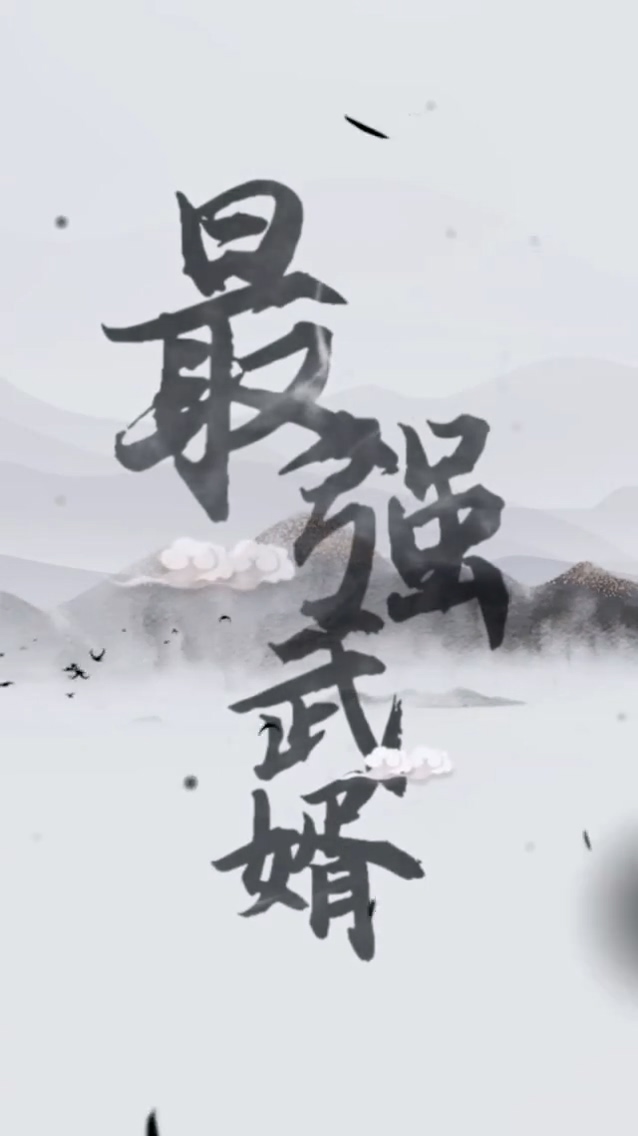 最強(qiáng)武婿(全集)