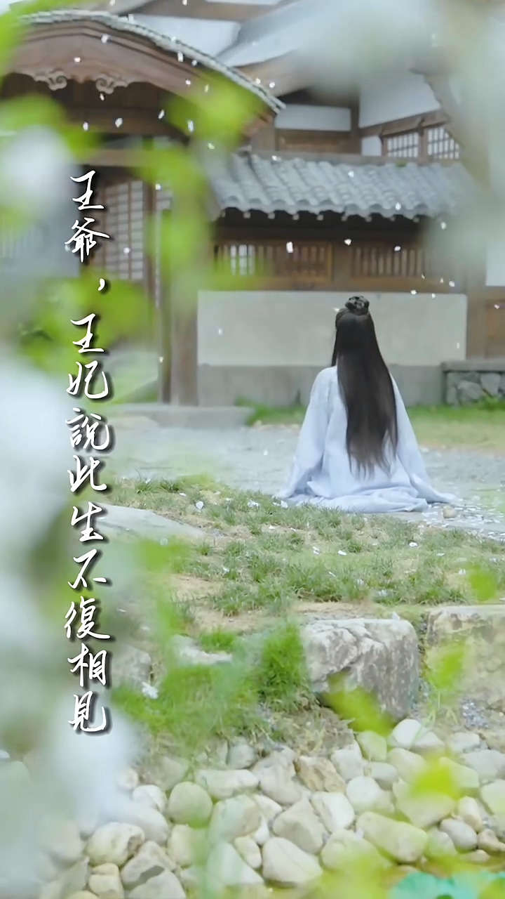 王爺，王妃說此生不復(fù)相見(全集)