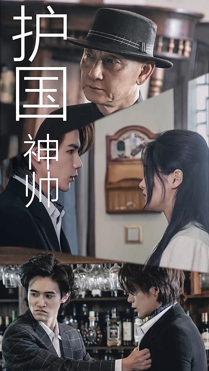 護(hù)國龍帥(全集)
