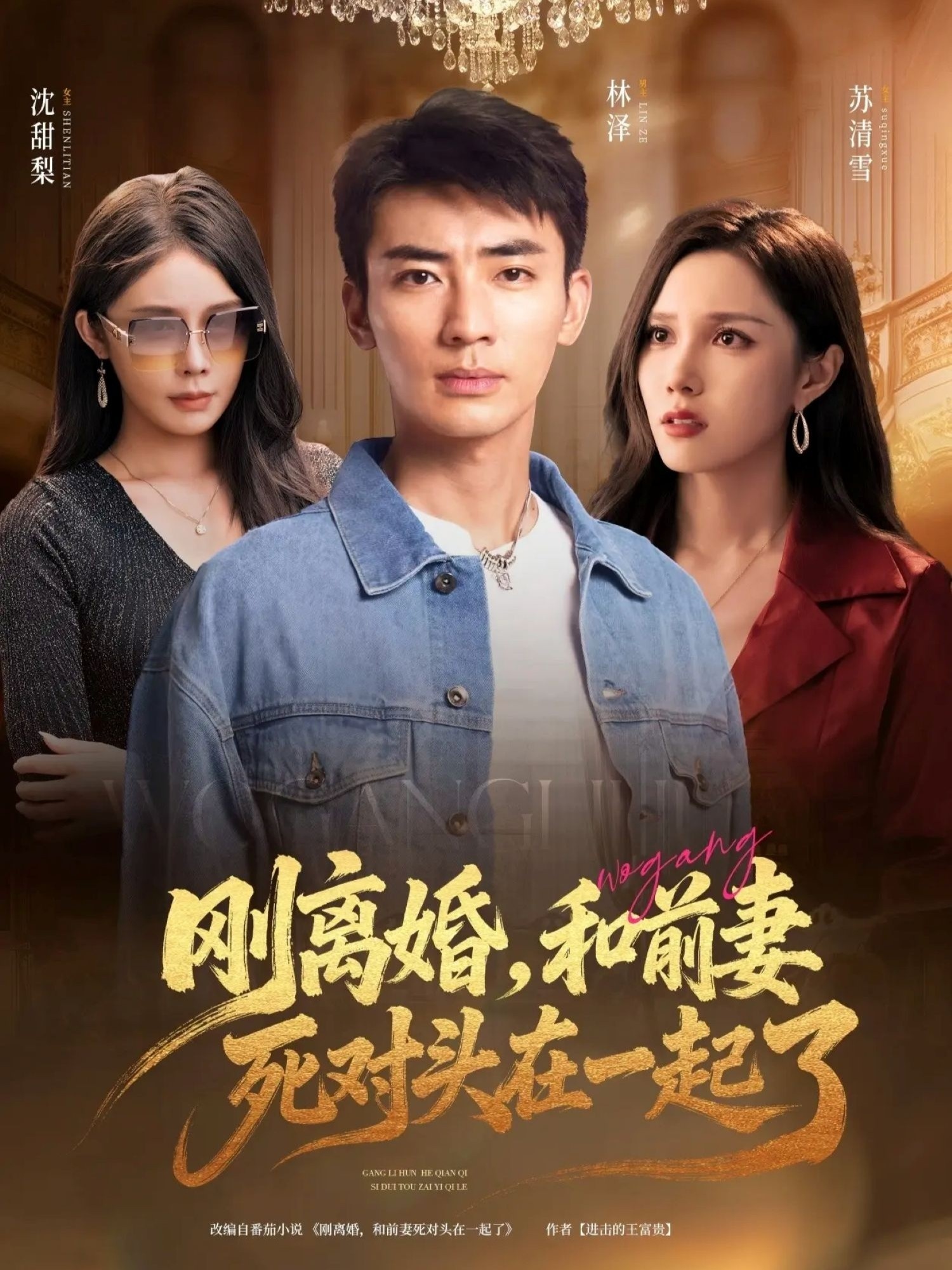 剛離婚和前妻死對(duì)頭在一起(全集)