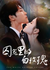 囚籠里的白玫瑰(全集)
