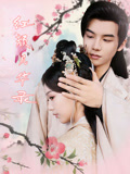 紅顏風(fēng)華錄(全集)