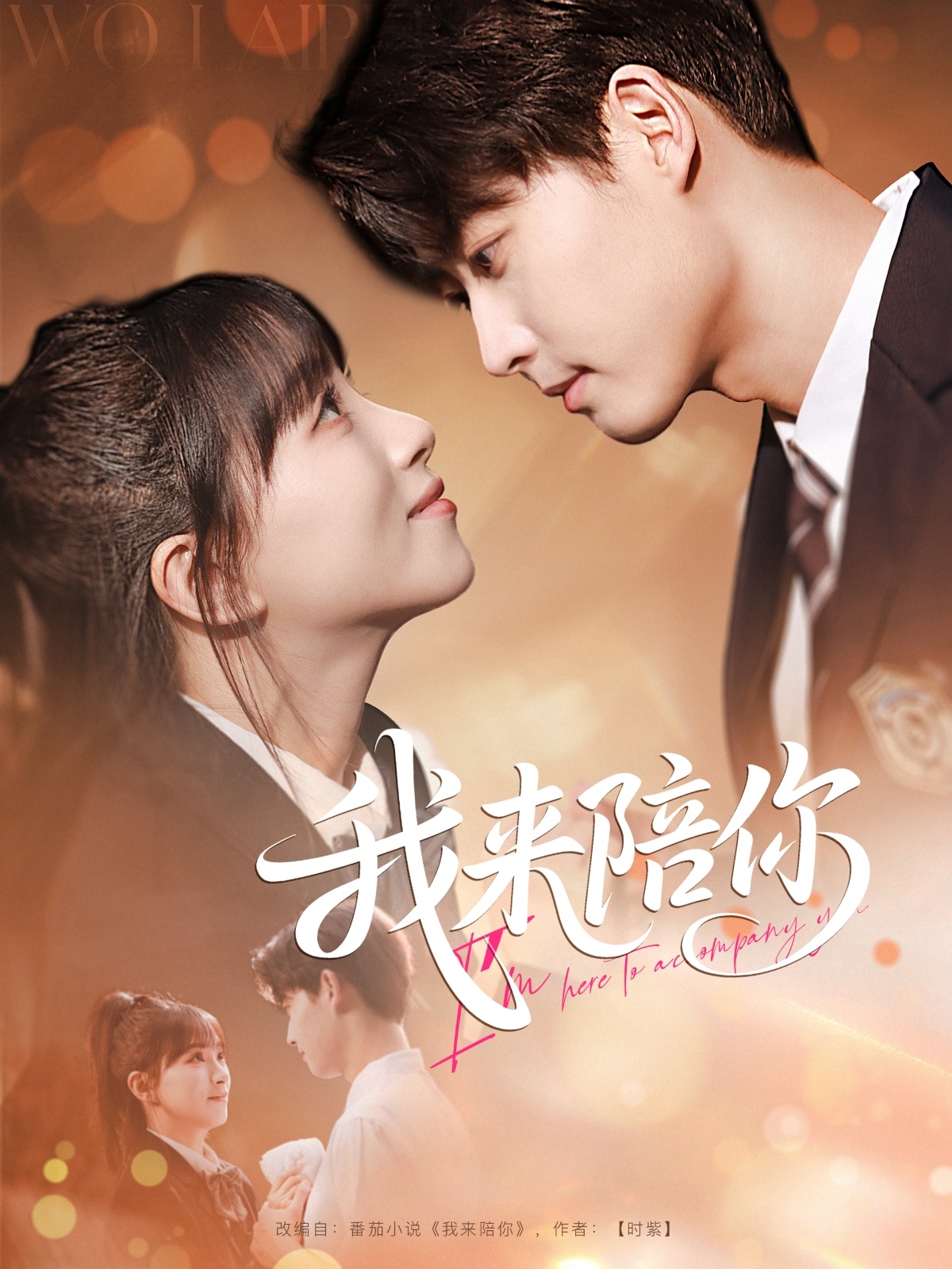 我來陪你(全集)