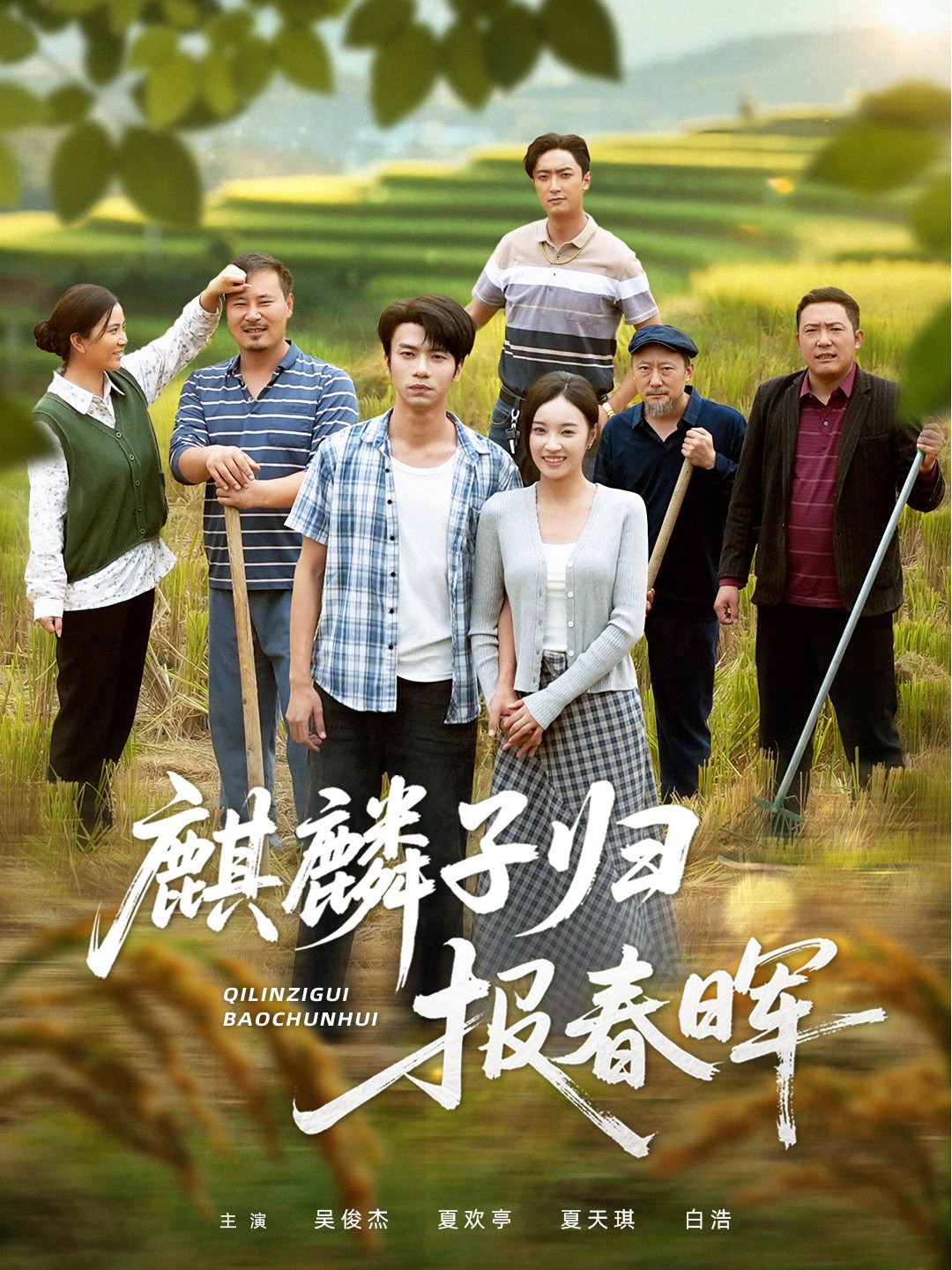 麒麟子歸報(bào)春暉(全集)